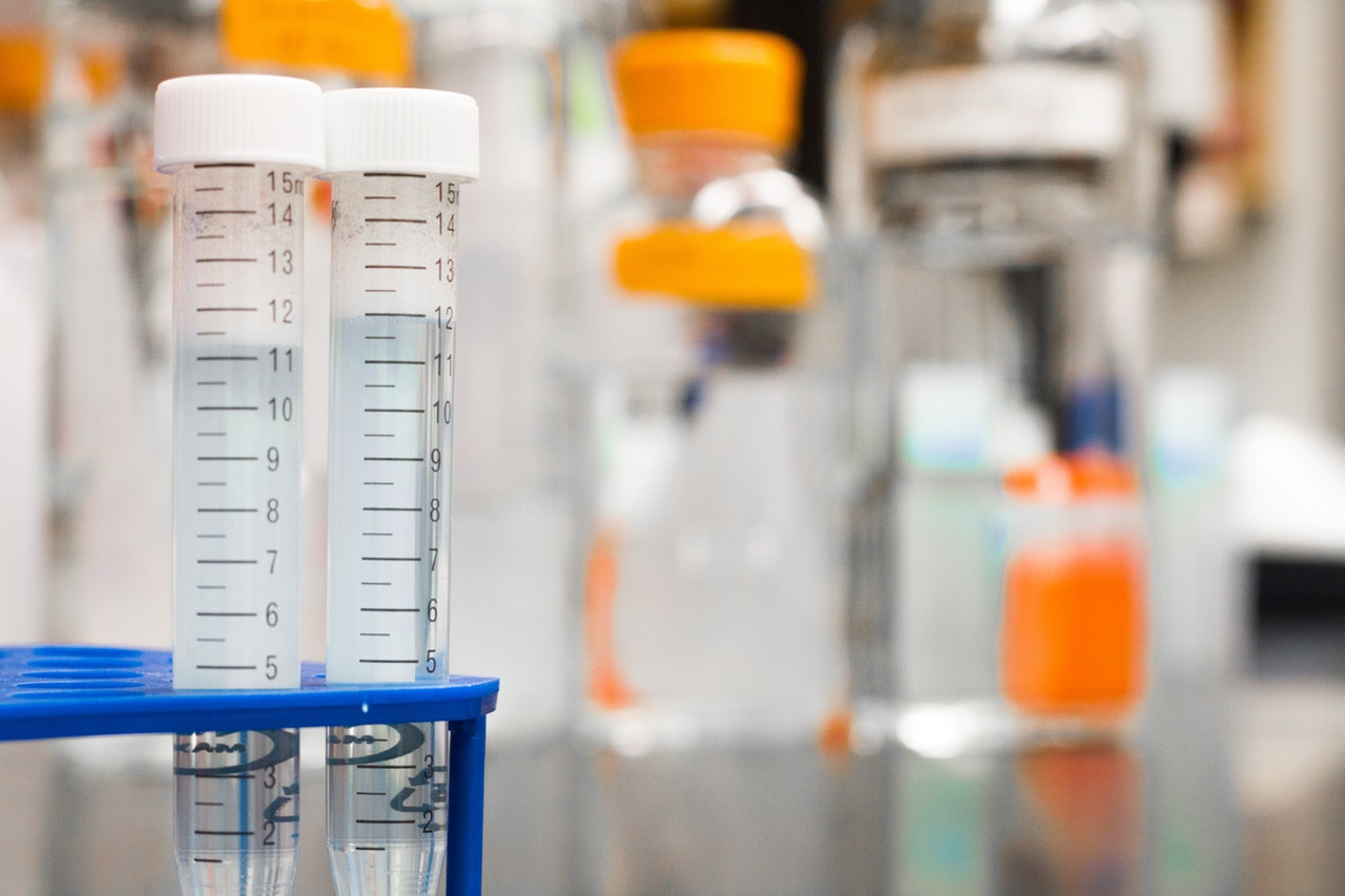 biology-blur-blurred-background-954585